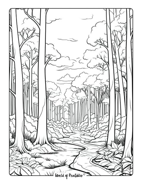 Forest Coloring Page