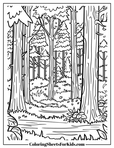 Forest Coloring Pages To Prin