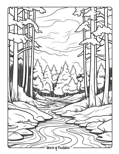 Forest Coloring Sheet