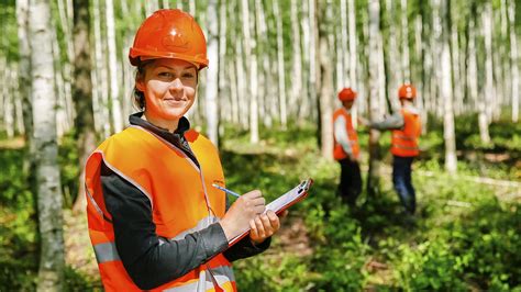 Forest Engineer Salary