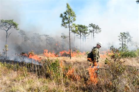 Forest Health and Wildfire Protection - The Moore Charitable …