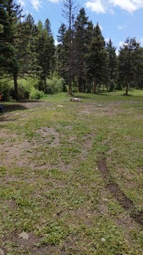 Forest Service helps restore ‘Rainbow Gathering’ site - Yahoo!