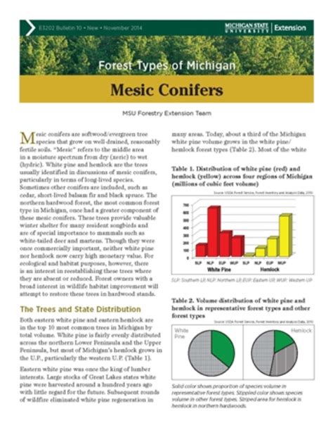 Forest Types of Michigan: Mesic Conifers (E3202-10)