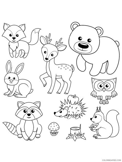 Food Pyramid Coloring Page