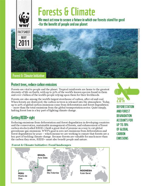 Forest and Climate WWF