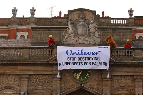 Forest destroying products and producers, time’s up! - Greenpeace …