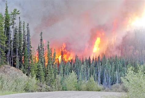 Forest fire out of control near Chapais in northern Quebec