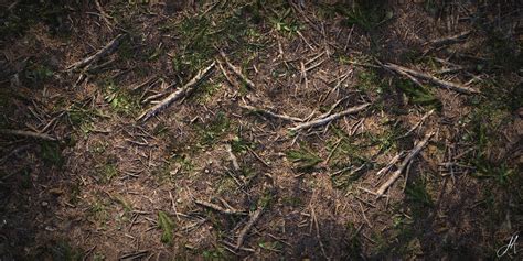 Forest ground texture blender.  Every texture is fully procedural&mdash;customize directly in y...