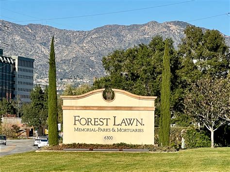 Forest lawn hollywood hills famous graves. .  <a href=https://back.metricahea...