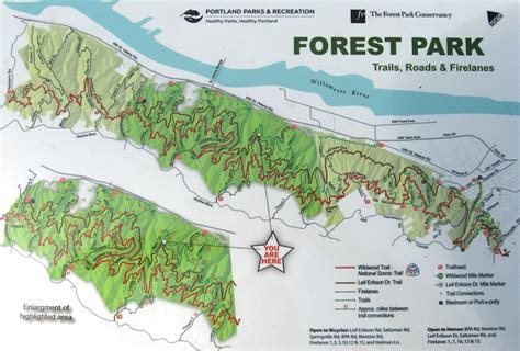 Forest park trailheads. The Wildwood and 53rd Trailhead from the Wildwood Trail, Forest Park (bobcat) Weather forecast: NWS/NOAA. Maps: Oregon Hikers Maps Google Maps. Latitude, Longitude: 45.54038, -122.73678. Elevation: 805 feet. 