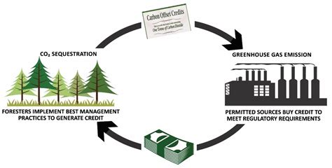 Forest valuation under carbon pricing a real options approach. - Gehl 170 roller mixer parts manual.