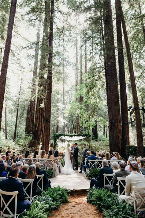 Forest wedding venues. Wedding ceremony locations include secluded creekside spots under a magical canopy of ancient trees. The reception venue is a clean, blank canvas space with commercial kitchen amenities including refrigeration and back up generator. Venue hire starts at $4,200 per day including all accommodation and you DIY & BYO catering and drinks. 