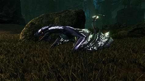 The Woodland Wyvern is a reworked version of Forest Wybern in Fixed Quenching.. 
