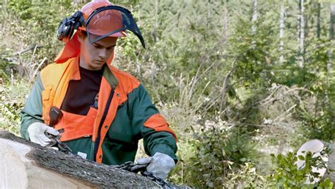 Forestier-ère bûcheron-ne - LinkedIn