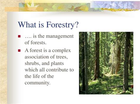 Forestry: Definition, Branches, Costs, Programme and