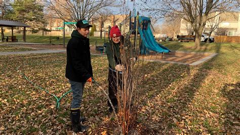 Forestry - City of Overland Park, Kansas