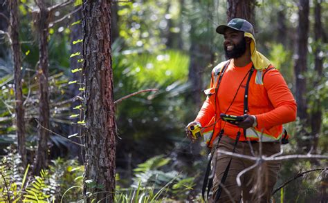 Forestry Technician Career