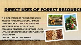 Forestry research papers.  Forests provide goods and services such as timbe...