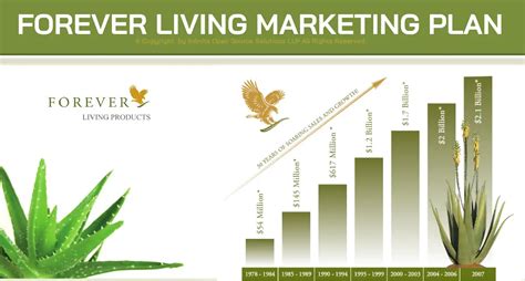 Forever Living Products (FLP) Marketing Business Plan 2024 – …