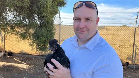 Forever homes found for 80 chickens displaced by floods