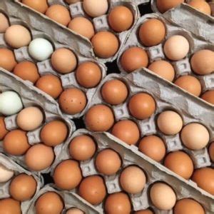 Forgotten Flavors Farm Pasture-Raised Eggs, Chicken and Beef