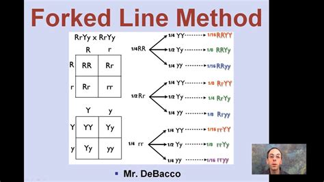 While the forked-line method is a diagrammat