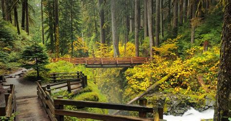 Forks, washington(current)