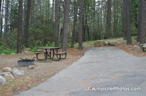 Forks Campground - Campsite Photos, Campground Availability …