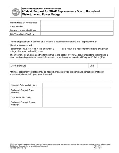Form HS3003 Download Fillable PDF or Fill Online Affidavit Request for