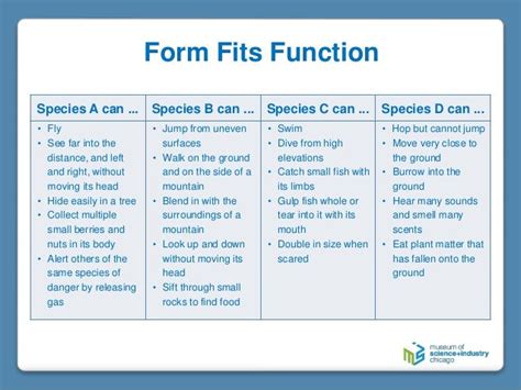 Form fits function