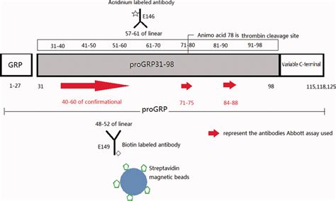 Format of the Hybiome ProGRP assay. Download Scientific Diagram