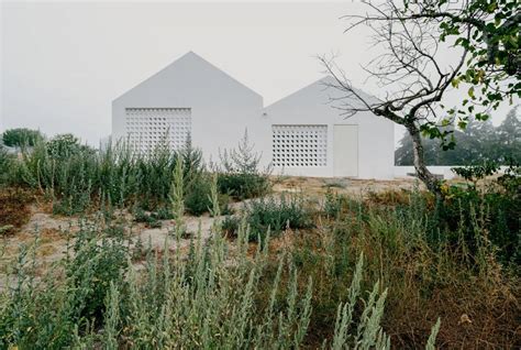 Formation and transformation of critical modern rural architecture: .