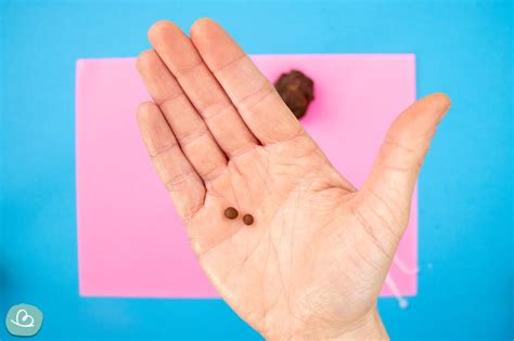 
Forme kleine Kugeln oder Scheiben