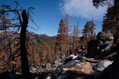Former Berkeley resident pleads guilty to setting 3 Lake Tahoe fires