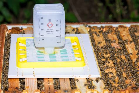 Formic Acid Treatment for Honey Bees - BeeKeepClub