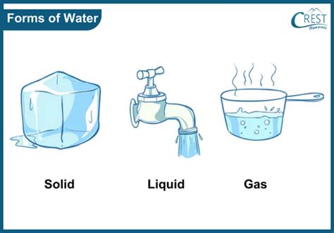 Forms of water