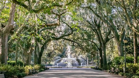 Forsyth Park: A First Time Guide VisitSavannah.com