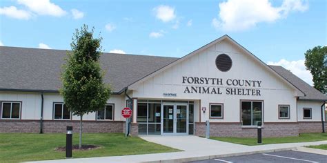 Forsyth county animal shelter nc. Things To Know About Forsyth county animal shelter nc. 