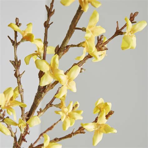 Forsythia Artificial/Faux Flower Stem + Reviews