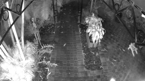 Fort Lauderdale’s Victoria Park hit by surge in home burglaries; 18 reported since August