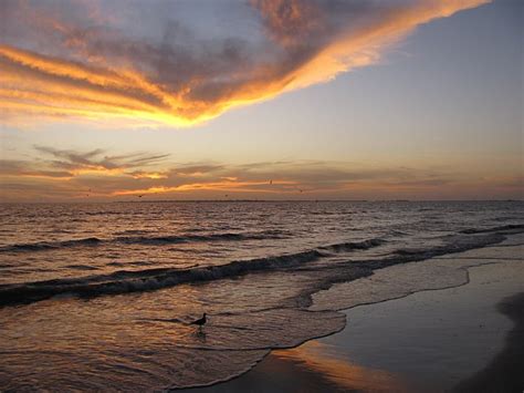 See all 73 vacation rentals in Fort Myers Beach, FL currently available for rent. Each FloridaRentals.com listing has verified availability, rental rates, photos, reviews and more. ... Fort Myers Beach Weather. F° | C° 75 24 ° 54 12 ° JANUARY. 