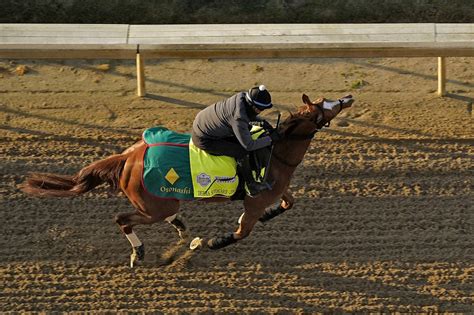 Forte, Derma Sotogake among Kentucky Derby horses to watch