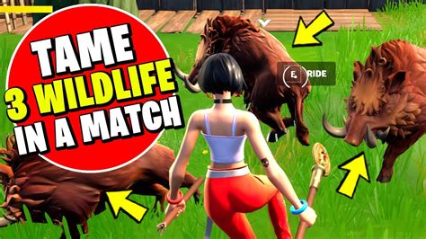 Fortnite How to tame three Wildlife in a single match 