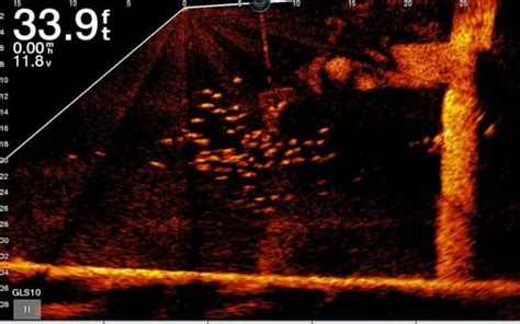 Forward Facing Sonar & 360 Imaging - Patrick Walters