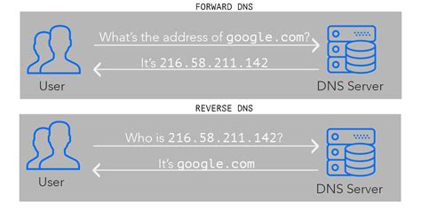 Forward and Reverse IP Lookups