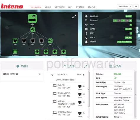 Forwarding Ports in a Inteno DG200A Router