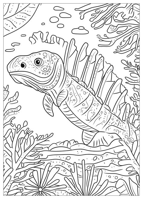 Fossil Coloring Sheets