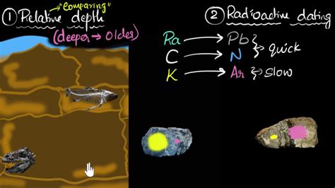 Fossil dating Heredity & Evolution Biology Khan Academy