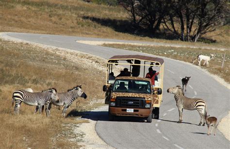 Fossil rim tickets groupon. 47 Brand. 4inkjets. 4 Wheel Drive. 5.11 Tactical. 6PM. 7 For All Mankind. Save Money With The Latest GrouponUS Coupons, Promo Codes & Deals. 