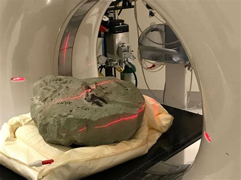 Fossil scanner. 10 janv. 2013 ... Paleontologists in Brazil say a combination of CT scanning and 3D printing has taken the discovery and recreation of ancient fossils into ... 